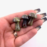 1" Dragonblood Jasper Mushroom, Small Dragonblood Mushroom, Dragonblood Carving, Mushroom Carving Dragonblood, P-130
