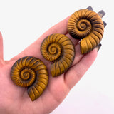 Tiger Eye Ammonite Carving, Tiger Eye Shell Carving, Gemstone Ammonite Carving, Tigers Eye Carving, B-33