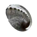 Smudging Accessories - Shells - Candles - Cauldrons