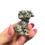 ONE Random Doggy Carving