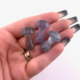 1" Fluorite Mushroom, Small Fluorite Mushroom, Fluorite Carving, Mushroom Carving Fluorite, P-126