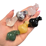 ONE Random Snail Carving