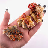 Natural Vanadinite Cluster, Raw Vanadinite Cluster, Choose your size, Vanadinite from Morocco