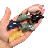 ONE Random Seal Carving