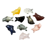 ONE Random Seal Carving