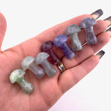 1" Fluorite Mushroom, Small Fluorite Mushroom, Fluorite Carving, Mushroom Carving Fluorite, P-126