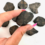 Natural Chiastolite Slice, Raw Chiastolite, Rough Chiastolite, Cross Stone, "X" Stone, B-55