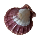 Smudging Accessories - Shells - Candles - Cauldrons