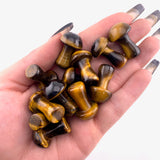 1" Tigers Eye Mushroom, Small Tigers Eye Mushroom, Tigers Eye Carving, Mushroom Carving Tigers Eye, P-122