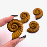 Tiger Eye Ammonite Carving, Tiger Eye Shell Carving, Gemstone Ammonite Carving, Tigers Eye Carving, B-33