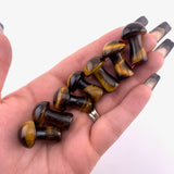 1" Tigers Eye Mushroom, Small Tigers Eye Mushroom, Tigers Eye Carving, Mushroom Carving Tigers Eye, P-122