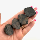 Natural Chiastolite Slice, Raw Chiastolite, Rough Chiastolite, Cross Stone, "X" Stone, B-55