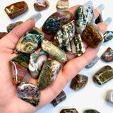 Tumbled Ocean Jasper, Colorful Ocean Jasper Tumble, Tumbled Sea Jasper, Orbicular Ocean Jasper, P-175
