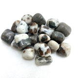 Polarity Moonstone Tumble, Tumbled Polarity Moonstone, Polished Polarity Moonstone, EC-3