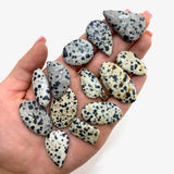 Dalmatian Jasper Cabochon, Dalmatian Jasper Cabochon, Polished Dalmatian Jasper Cabochon, 004