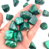Malachite Tumble, Tumbled Malachite, Genuine Malachite, Healing Malachite, T-184