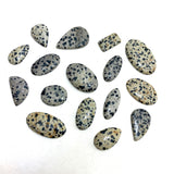 Dalmatian Jasper Cabochon, Dalmatian Jasper Cabochon, Polished Dalmatian Jasper Cabochon, 004