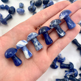 1" Sodalite Mushroom, Small Sodalite Mushroom, Sodalite Carving, Mushroom Carving Sodalite, P-121