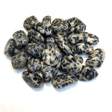 Tourmaline, Quartz, Feldspar Tumbled Stone, Tumbled "Guinea Fowl", Small Tourmaline and Quartz, Healing Guinea Fowl, P-172