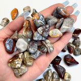 Small Crazy Lace Agate Tumble, Tumbled Crazy Lace Agate, Small Crazy Lace Pocket Stone, T-41