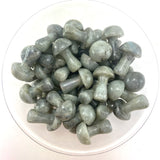 1" Labradorite Mushroom, Small Labradorite Mushroom, Labradorite Carving, Mushroom Carving Labradorite, P-127