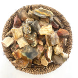 Petrified Wood, One stone or a Baggy, Rough Petrified Wood, Raw Fossilized Wood