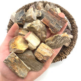Petrified Wood, One stone or a Baggy, Rough Petrified Wood, Raw Fossilized Wood