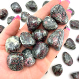 Eudialyte Tumbled, RARE Eudialyte, Polished Eudialyte, Healing Eudialyte, T-20