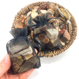 Petrified Wood, One stone or a Baggy, Rough Petrified Wood, Raw Fossilized Wood