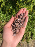 Leopard Skin Jasper Chips, 25 grams Leopard Jasper, Small Leopard Jasper, Tumbled Leopard Jasper