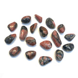 Small Triplite Wagnerite in Pyrite, RARE Triplite Wagnerite, Tumbled Triplite Wagnerite in Pyrite, P-66