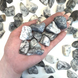 Tumbled Agate with Dendrite, Tumbled Dendritic Agate, Dendrite from Madagascar, Dendrite Tumble, T-189