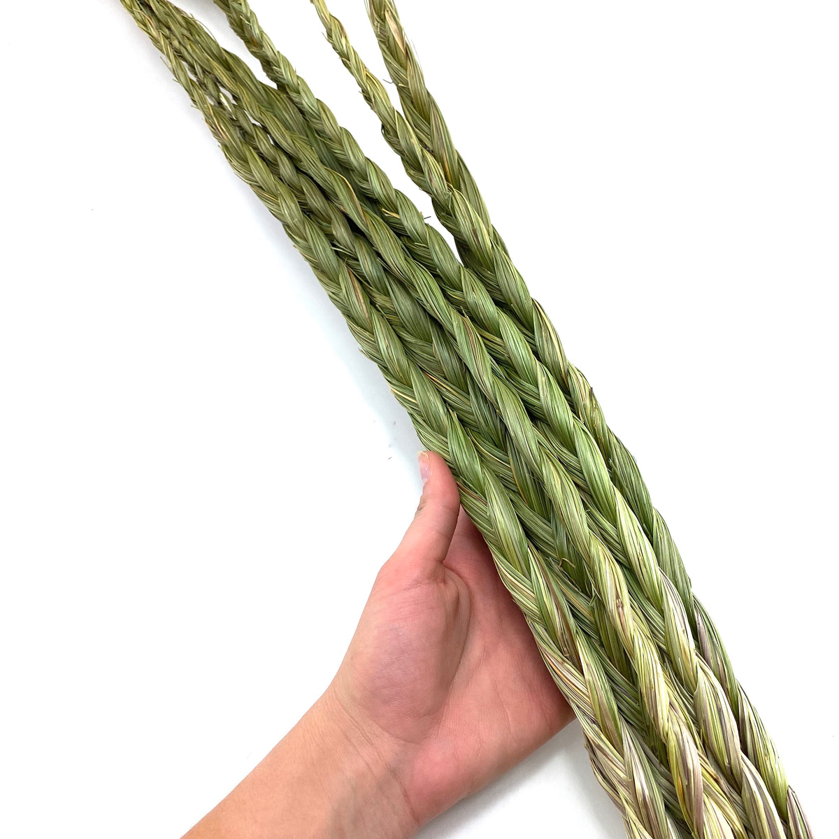 XL Sweetgrass 24 Braid, Natural Sweetgrass, Braided Sweetgrass – Moon  Mountain Gems