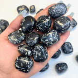 Chinese Writing Stone Tumble, Tumbled Chinese Writing Stone, Black Basalt and White Feldspar, P-15