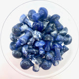 1" Sodalite Mushroom, Small Sodalite Mushroom, Sodalite Carving, Mushroom Carving Sodalite, P-121