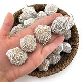 Selenite Rose, One Stone or Baggy, Desert Rose, Rough Selenite Rose, Raw Selenite Rose