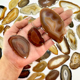 3pc Agate Slice, Small Agate Slice, Natural Agate Slice, Natural Agate Slab, P-10