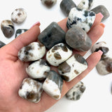 Polarity Moonstone Tumble, Tumbled Polarity Moonstone, Polished Polarity Moonstone, EC-3