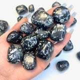 Chinese Writing Stone Tumble, Tumbled Chinese Writing Stone, Black Basalt and White Feldspar, P-15
