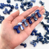 1" Sodalite Mushroom, Small Sodalite Mushroom, Sodalite Carving, Mushroom Carving Sodalite, P-121