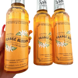 Orange Blossom Florida Water by Murray & Lanman, 7.5oz Bottle, Energy Cleansing Florida Water, Orange Blossom Cologne