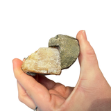 Golden Sugar Barite - Golden Barite with Druzy - Barite with Pyrite - Jiangxi Province - #5