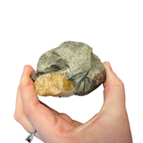 Golden Sugar Barite - Golden Barite with Druzy - Barite with Pyrite - Jiangxi Province - #5