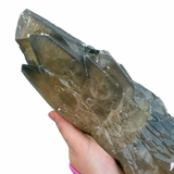 XL Dragonscale Calcite from the Sweetwater Mine Missouri - Closed Mine - Sweetwater Calcite - #7