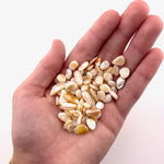 25g Mother of Pearl Chips, Tumbled Mother of Pearl Chips, Mother of Pearl Gemstone Chips