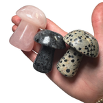 6cm Mushroom Carving - Gemstone Mushroom Carving - Medium - Crystal Mushroom Carving