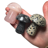 6cm Mushroom Carving - Gemstone Mushroom Carving - Medium - Crystal Mushroom Carving