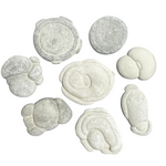 Shop Drop 06/30 - Natural Gemstone Carvings - Spheres - Lemon Calcite