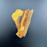 1a9c6027-5b10-469b-af16-c26a5bcd4d19