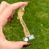 Baryte and Pyrite - Poland #2